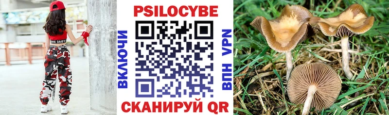 Псилоцибиновые грибы Magic Shrooms  мориарти Telegram  Бердск 